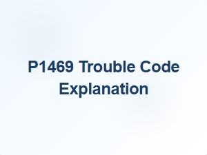 P1469 Code Definition and Explanation